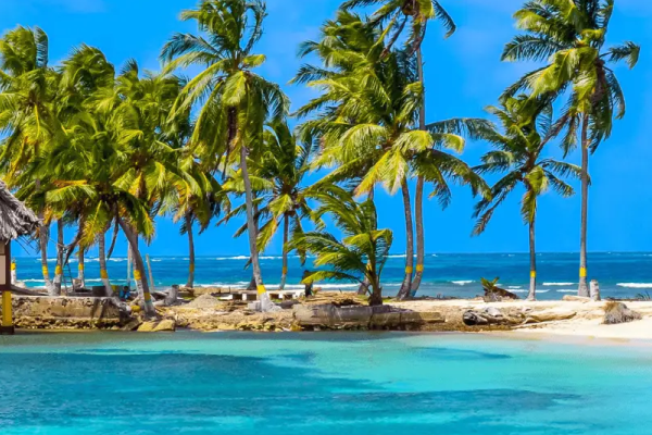 2 places dispos&nbsp;! Le Panama
